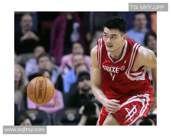 姚明菜新秀崭露头角NBA赛场上的新星风采与挑战