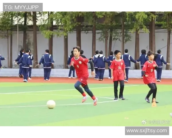 喜鹊相伴的足球明星们如何在绿茵场上书写传奇人生