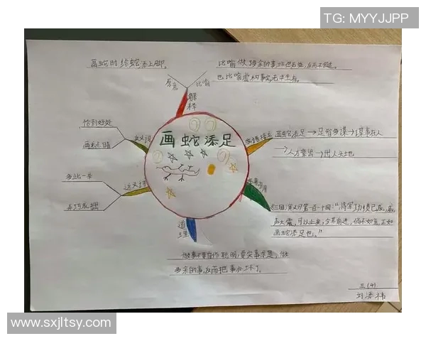 体育锻炼带来的身心变化与成长体验的深刻感悟